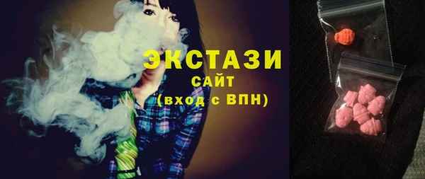 крисы Богородицк
