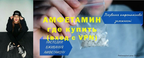 крисы Богородицк