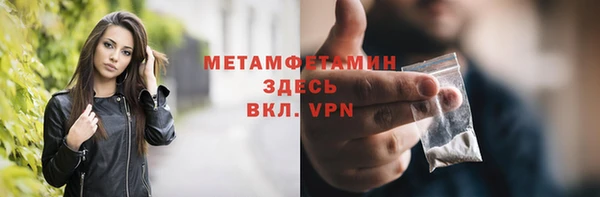 сатива Бородино