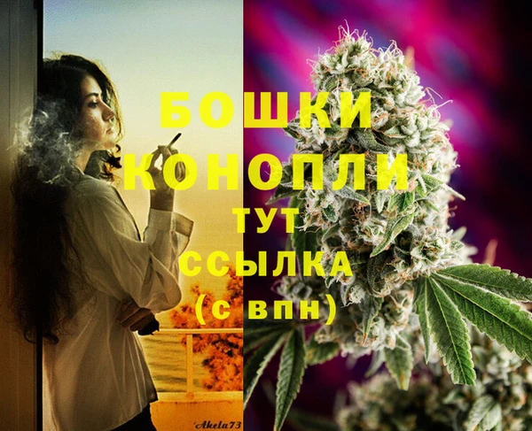 крисы Богородицк