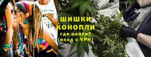 крисы Богородицк