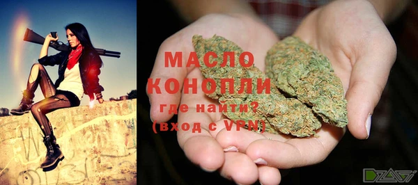 крисы Богородицк