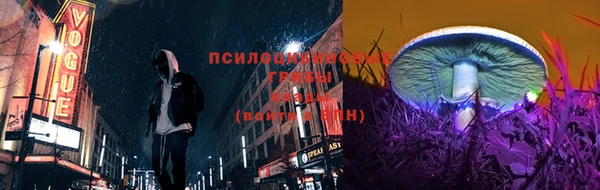 2c-b Богданович