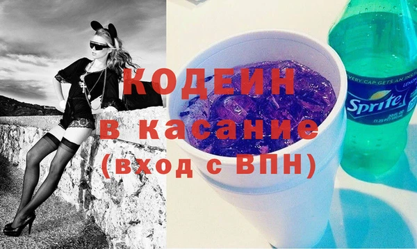 крисы Богородицк