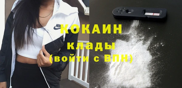 крисы Богородицк