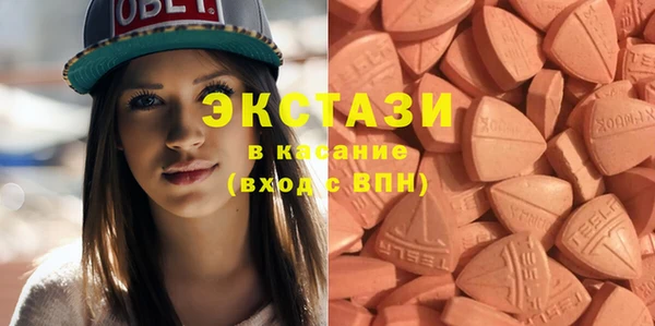 крисы Богородицк
