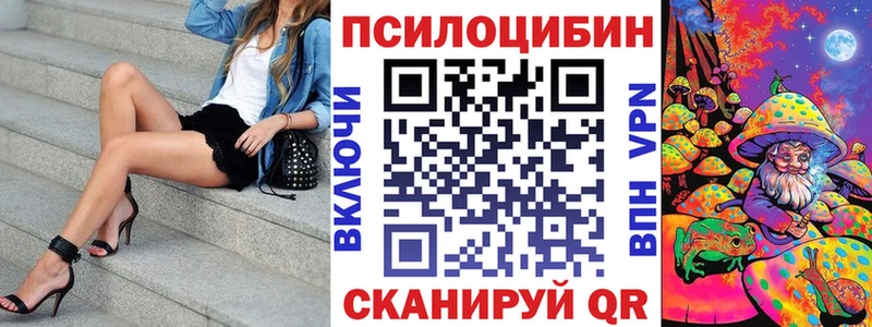 Псилоцибиновые грибы Psilocybe  наркота  Палласовка 
